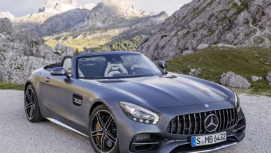 Mercedes-AMG GT C Roadster edition 50 2017